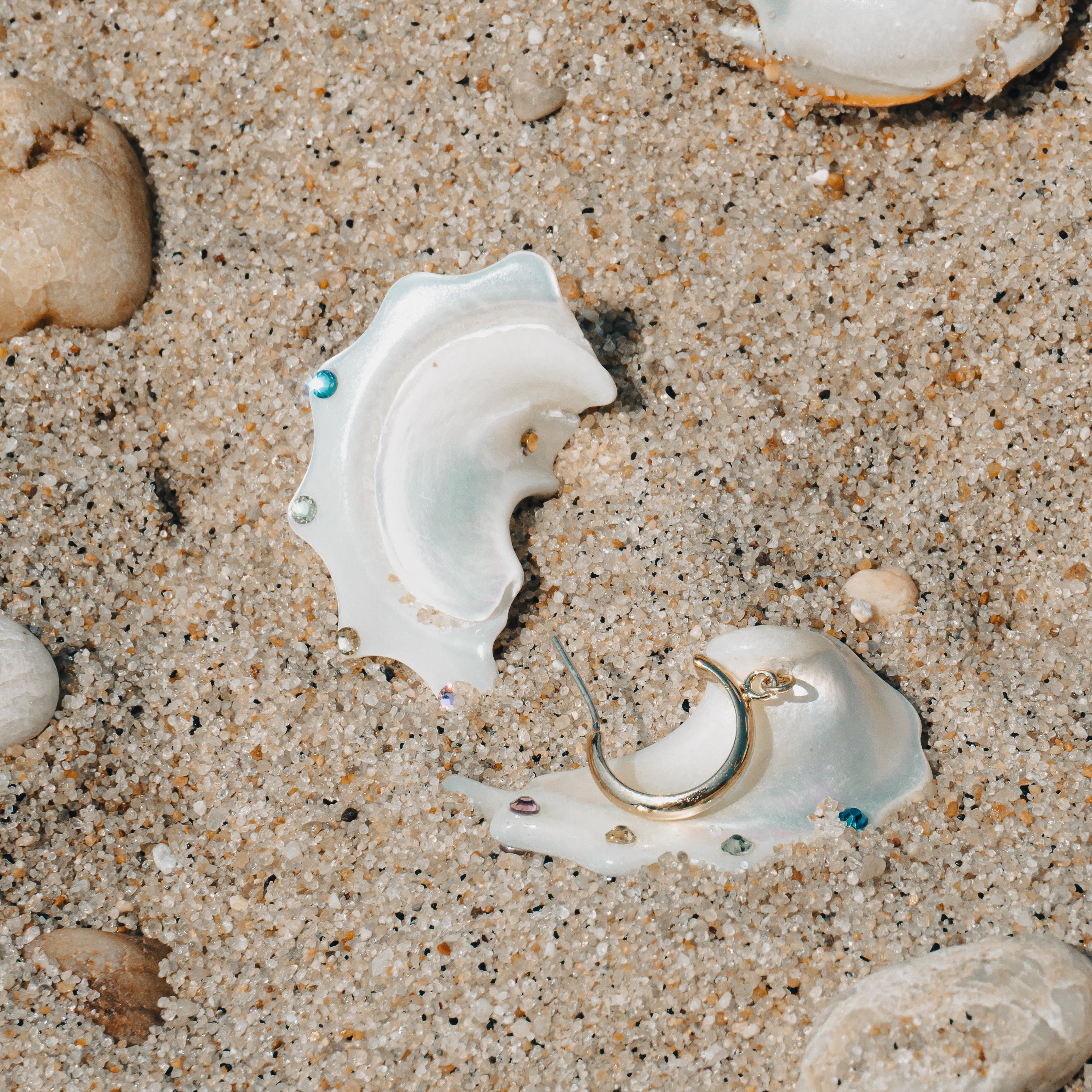 Candy Shell Earring